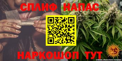 ECSTASY Кимры