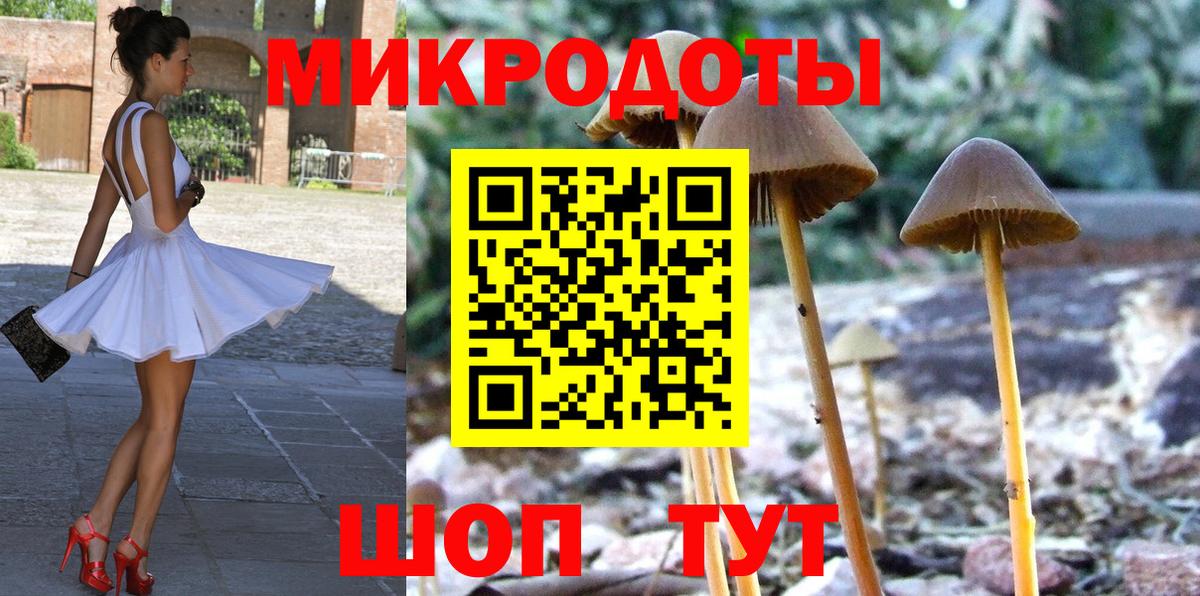 Галлюциногенные грибы прущие грибы Гулькевичи